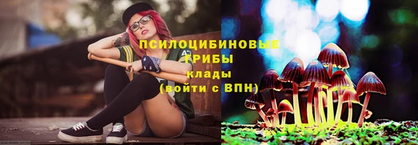 ГАЛЛЮЦИНОГЕННЫЕ ГРИБЫ Абаза