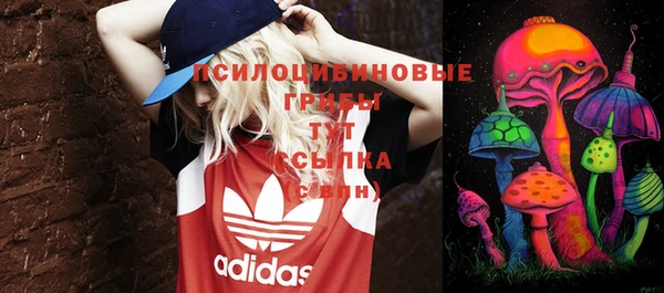 гидропоника Абдулино