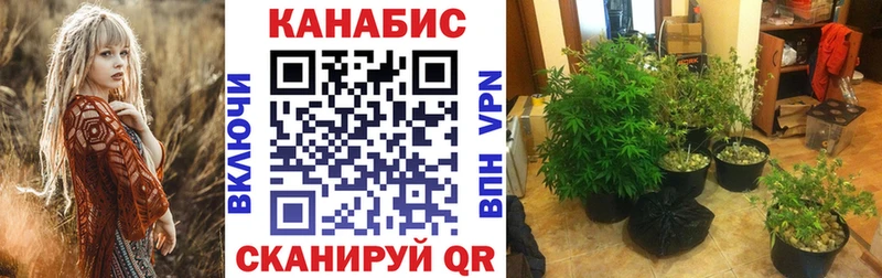 Бошки Шишки гибрид  ОМГ ОМГ рабочий сайт  Алдан 